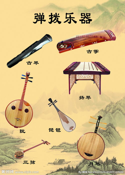弹拨乐器有哪些?