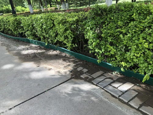 1,草石隔离带又叫挡土板,隔根带,阻根板,隔根板等,作用是隔离.