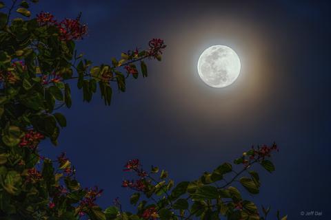 花好月圆图片唯美,花好月圆图片大全 风景图片_b2b吧